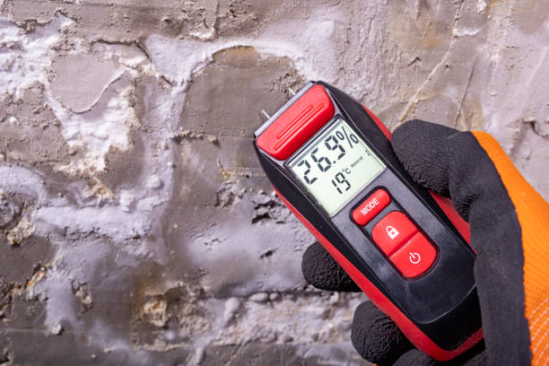 Best Localized Mold Remediation (e.g., coastal areas, humid climates) in Farragut, TN