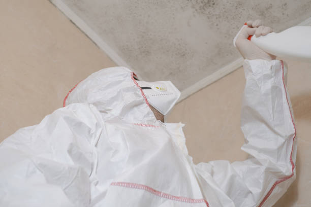 Best Residential Mold Remediation in Farragut, TN